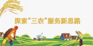 平安普惠深耕农业市场，助力龙江农业小微快发展￼